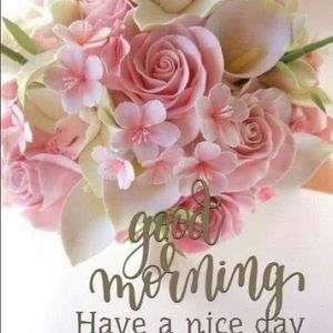 Meet your Posher, Farrah